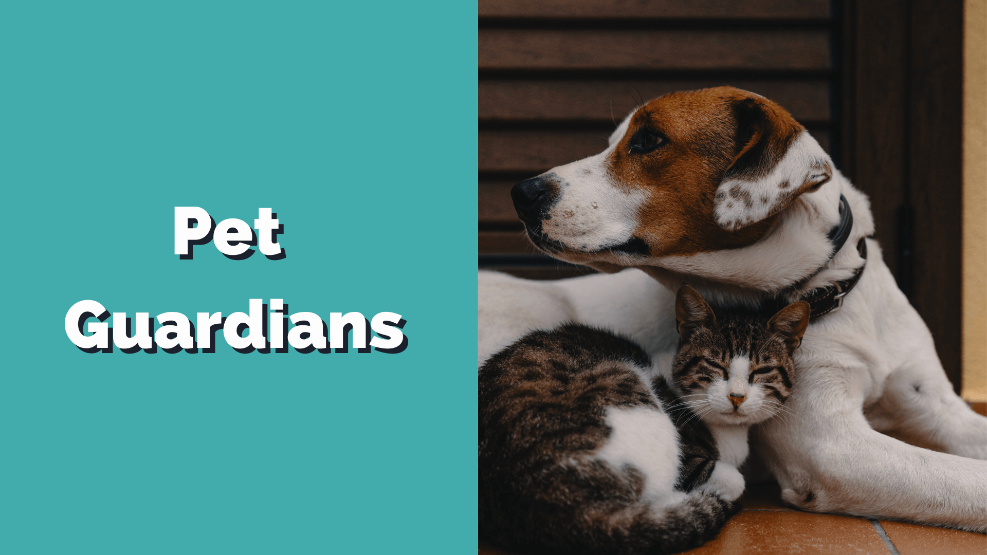 What happens to my pets if I pass away?
