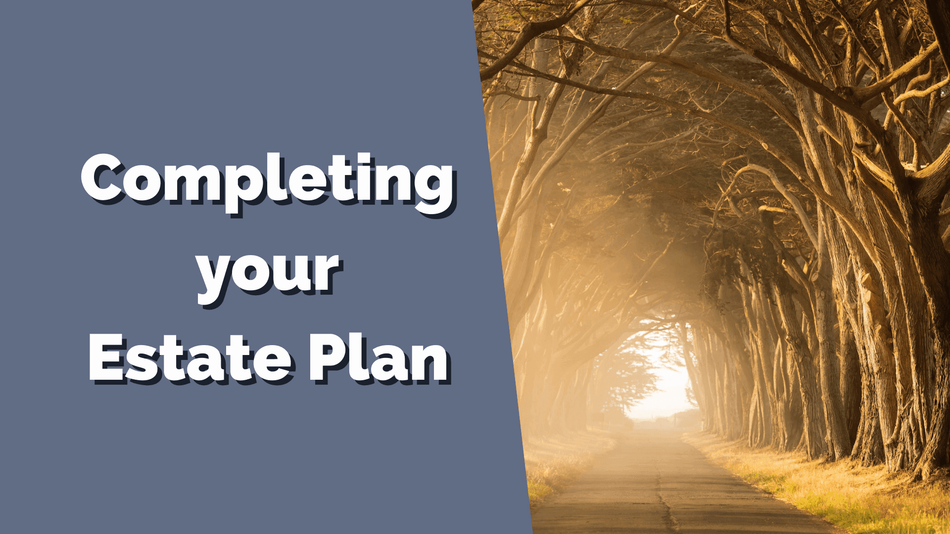 NobleWills Will Writer - What are the next steps to complete my estate plan?