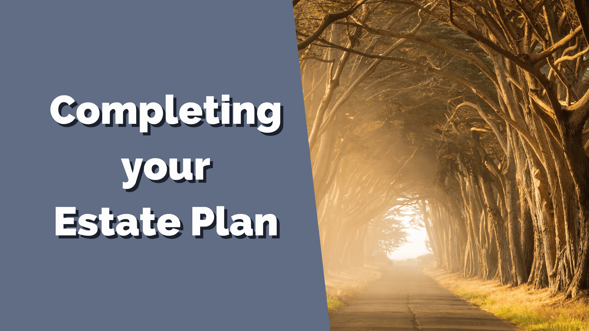 What are the next steps to complete my estate plan?