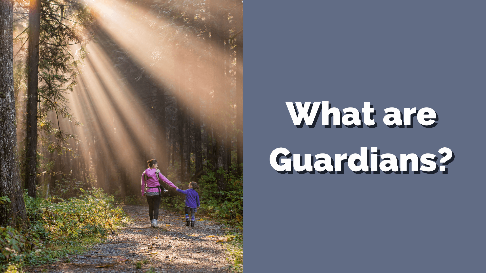 What are guardians?